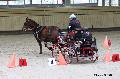 Photo n 32673&#10;Indoor de Deauville. 2015&#10;Eric LAVILLE.
Photo Chevalandrieu&#10;Affiche 17 fois&#10;Ajoute le 10/04/2015 18:28:52 par Nadinetoudic&#10;&#10;--> Cliquer pour agrandir <--