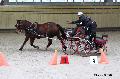 Photo n 32674&#10;Indoor de Deauville. 2015&#10;Eric LAVILLE.
Photo Chevalandrieu&#10;Affiche 12 fois&#10;Ajoute le 10/04/2015 18:28:52 par Nadinetoudic&#10;&#10;--> Cliquer pour agrandir <--
