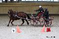 Photo n 32675&#10;Indoor de Deauville. 2015&#10;Eric LAVILLE.
Photo Chevalandrieu&#10;Affiche 14 fois&#10;Ajoute le 10/04/2015 18:28:52 par Nadinetoudic&#10;&#10;--> Cliquer pour agrandir <--