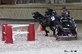 Photo n 32677&#10;Indoor de Deauville. 2015&#10;Andr FRANCOIS.
Photo Chevalandrieu&#10;Affiche 18 fois&#10;Ajoute le 10/04/2015 18:28:52 par Nadinetoudic&#10;&#10;--> Cliquer pour agrandir <--