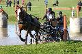 Photo n° 32776
Evreux 2015. Photo Chevalandrieu
Philippe THIEBAUT
Affichée 16 fois
Ajoutée le 21/04/2015 18:31:56 par Nadinetoudic

--> Cliquer pour agrandir <--