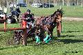 Photo n 32778&#10;Evreux 2015. Photo Chevalandrieu&#10;Johnny GAFFE&#10;Affiche 16 fois&#10;Ajoute le 21/04/2015 18:31:56 par Nadinetoudic&#10;&#10;--> Cliquer pour agrandir <--