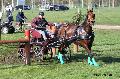 Photo n 32779&#10;Evreux 2015. Photo Chevalandrieu&#10;Johnny GAFFE&#10;Affiche 20 fois&#10;Ajoute le 21/04/2015 18:31:56 par Nadinetoudic&#10;&#10;--> Cliquer pour agrandir <--