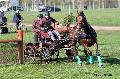 Photo n 32780&#10;Evreux 2015. Photo Chevalandrieu&#10;Johnny GAFFE&#10;Affiche 17 fois&#10;Ajoute le 21/04/2015 18:31:56 par Nadinetoudic&#10;&#10;--> Cliquer pour agrandir <--
