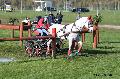 Photo n 32784&#10;Evreux 2015. Photo Chevalandrieu&#10;Aline MASSON&#10;Affiche 13 fois&#10;Ajoute le 21/04/2015 18:31:57 par Nadinetoudic&#10;&#10;--> Cliquer pour agrandir <--