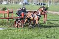 Photo n° 32789
Evreux 2015. Photo Chevalandrieu
Christine JHEAN
Affichée 17 fois
Ajoutée le 21/04/2015 18:31:57 par Nadinetoudic

--> Cliquer pour agrandir <--