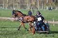 Photo n 32790&#10;Evreux 2015. Photo Chevalandrieu&#10;Christine JHEAN&#10;Affiche 25 fois&#10;Ajoute le 21/04/2015 18:31:57 par Nadinetoudic&#10;&#10;--> Cliquer pour agrandir <--