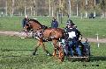 Photo n° 32790
Evreux 2015. Photo Chevalandrieu
Christine JHEAN
Affichée 22 fois
Ajoutée le 21/04/2015 18:31:57 par Nadinetoudic

--> Cliquer pour agrandir <--