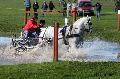 Photo n 32802&#10;Evreux 2015. Photo Chevalandrieu&#10;Bernard CUVILLIERS&#10;Affiche 11 fois&#10;Ajoute le 21/04/2015 18:31:57 par Nadinetoudic&#10;&#10;--> Cliquer pour agrandir <--