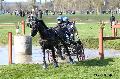 Photo n 32807&#10;Evreux 2015. Photo Chevalandrieu&#10;Brigitte GIBON &#10;Affiche 81 fois&#10;Ajoute le 23/04/2015 16:24:15 par Nadinetoudic&#10;&#10;--> Cliquer pour agrandir <--