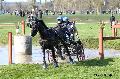 Photo n° 32807
Evreux 2015. Photo Chevalandrieu
Brigitte GIBON 
Affichée 55 fois
Ajoutée le 23/04/2015 16:24:15 par Nadinetoudic

--> Cliquer pour agrandir <--