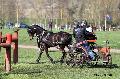 Photo n° 32813
Evreux 2015. Photo Chevalandrieu
Sylvie MILOCHEVITCH
Affichée 22 fois
Ajoutée le 23/04/2015 16:24:16 par Nadinetoudic

--> Cliquer pour agrandir <--