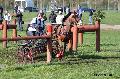 Photo n 32817&#10;Evreux 2015. Photo Chevalandrieu&#10;Julien CASIER&#10;Affiche 131 fois&#10;Ajoute le 23/04/2015 16:24:16 par Nadinetoudic&#10;&#10;--> Cliquer pour agrandir <--