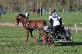 Photo n 32818&#10;Evreux 2015. Photo Chevalandrieu&#10;Julien CASIER&#10;Affiche 16 fois&#10;Ajoute le 23/04/2015 16:24:16 par Nadinetoudic&#10;&#10;--> Cliquer pour agrandir <--