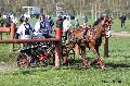 Photo n° 32819
Evreux 2015. Photo Chevalandrieu
Julien CASIER
Affichée 29 fois
Ajoutée le 23/04/2015 16:24:16 par Nadinetoudic

--> Cliquer pour agrandir <--