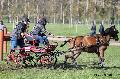 Photo n° 32824
Evreux 2015. Photo Chevalandrieu
Aurélie SUIN
Affichée 15 fois
Ajoutée le 23/04/2015 16:24:16 par Nadinetoudic

--> Cliquer pour agrandir <--