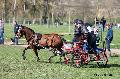 Photo n 32825&#10;Evreux 2015. Photo Chevalandrieu&#10;Aurlie SUIN&#10;Affiche 21 fois&#10;Ajoute le 23/04/2015 16:24:16 par Nadinetoudic&#10;&#10;--> Cliquer pour agrandir <--