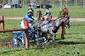 Photo n° 32828
Evreux 2015. Photo Chevalandrieu
Grégory BARDIN
Affichée 15 fois
Ajoutée le 23/04/2015 16:24:16 par Nadinetoudic

--> Cliquer pour agrandir <--