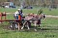 Photo n° 32831
Evreux 2015. Photo Chevalandrieu
Heather WATT
Affichée 14 fois
Ajoutée le 23/04/2015 16:24:16 par Nadinetoudic

--> Cliquer pour agrandir <--