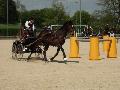 Photo n 32936&#10;MARBOZ 2015&#10;&#10;Affiche 12 fois&#10;Ajoute le 27/04/2015 09:03:29 par JeanClaudeGrognet&#10;&#10;--> Cliquer pour agrandir <--