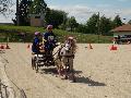Photo n 32940&#10;MARBOZ 2015&#10;&#10;Affiche 15 fois&#10;Ajoute le 27/04/2015 09:03:30 par JeanClaudeGrognet&#10;&#10;--> Cliquer pour agrandir <--