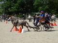 Photo n 32942&#10;MARBOZ 2015&#10;&#10;Affiche 14 fois&#10;Ajoute le 27/04/2015 09:03:30 par JeanClaudeGrognet&#10;&#10;--> Cliquer pour agrandir <--