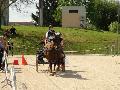 Photo n 32943&#10;MARBOZ 2015&#10;&#10;Affiche 10 fois&#10;Ajoute le 27/04/2015 09:03:30 par JeanClaudeGrognet&#10;&#10;--> Cliquer pour agrandir <--