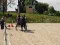 Photo n 32946&#10;MARBOZ 2015&#10;&#10;Affiche 10 fois&#10;Ajoute le 27/04/2015 09:03:30 par JeanClaudeGrognet&#10;&#10;--> Cliquer pour agrandir <--