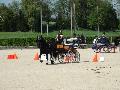 Photo n 32947&#10;MARBOZ 2015&#10;&#10;Affiche 12 fois&#10;Ajoute le 27/04/2015 09:03:30 par JeanClaudeGrognet&#10;&#10;--> Cliquer pour agrandir <--