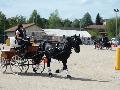 Photo n 32948&#10;MARBOZ 2015&#10;&#10;Affiche 21 fois&#10;Ajoute le 27/04/2015 09:03:30 par JeanClaudeGrognet&#10;&#10;--> Cliquer pour agrandir <--