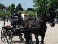 Photo n 32949&#10;MARBOZ 2015&#10;&#10;Affiche 18 fois&#10;Ajoute le 27/04/2015 09:03:30 par JeanClaudeGrognet&#10;&#10;--> Cliquer pour agrandir <--
