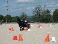 Photo n 32950&#10;MARBOZ 2015&#10;&#10;Affiche 11 fois&#10;Ajoute le 27/04/2015 09:03:30 par JeanClaudeGrognet&#10;&#10;--> Cliquer pour agrandir <--