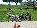 Photo n 32953&#10;MARBOZ 2015&#10;&#10;Affiche 14 fois&#10;Ajoute le 27/04/2015 09:03:30 par JeanClaudeGrognet&#10;&#10;--> Cliquer pour agrandir <--