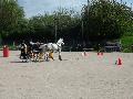 Photo n 32954&#10;MARBOZ 2015&#10;&#10;Affiche 11 fois&#10;Ajoute le 27/04/2015 09:03:30 par JeanClaudeGrognet&#10;&#10;--> Cliquer pour agrandir <--
