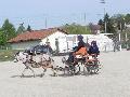 Photo n 32960&#10;MARBOZ 2015&#10;&#10;Affiche 15 fois&#10;Ajoute le 27/04/2015 09:03:30 par JeanClaudeGrognet&#10;&#10;--> Cliquer pour agrandir <--