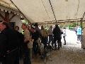 Photo n 32971&#10;MARBOZ 2015&#10;&#10;Affiche 14 fois&#10;Ajoute le 27/04/2015 09:03:30 par JeanClaudeGrognet&#10;&#10;--> Cliquer pour agrandir <--