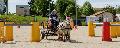 Photo n 32980&#10;MARBOZ 2015&#10;Photo Martin Klbinder&#10;Affiche 24 fois&#10;Ajoute le 27/04/2015 13:04:17 par JeanClaudeGrognet&#10;&#10;--> Cliquer pour agrandir <--