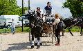 Photo n 32982&#10;MARBOZ 2015&#10;Photo Martin Klbinder&#10;Affiche 36 fois&#10;Ajoute le 27/04/2015 13:04:17 par JeanClaudeGrognet&#10;&#10;--> Cliquer pour agrandir <--