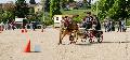 Photo n 32984&#10;MARBOZ 2015&#10;Photo Martin Klbinder&#10;Affiche 30 fois&#10;Ajoute le 27/04/2015 13:04:17 par JeanClaudeGrognet&#10;&#10;--> Cliquer pour agrandir <--