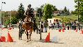 Photo n 32987&#10;MARBOZ 2015&#10;Photo Martin Klbinder&#10;Affiche 29 fois&#10;Ajoute le 27/04/2015 13:04:17 par JeanClaudeGrognet&#10;&#10;--> Cliquer pour agrandir <--