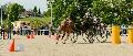 Photo n 32988&#10;MARBOZ 2015&#10;Photo Martin Klbinder&#10;Affiche 38 fois&#10;Ajoute le 27/04/2015 13:04:17 par JeanClaudeGrognet&#10;&#10;--> Cliquer pour agrandir <--