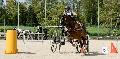 Photo n 32989&#10;MARBOZ 2015&#10;Photo Martin Klbinder&#10;Affiche 31 fois&#10;Ajoute le 27/04/2015 13:04:17 par JeanClaudeGrognet&#10;&#10;--> Cliquer pour agrandir <--