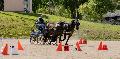 Photo n 32993&#10;MARBOZ 2015&#10;Photo Martin Klbinder&#10;Affiche 34 fois&#10;Ajoute le 27/04/2015 13:04:17 par JeanClaudeGrognet&#10;&#10;--> Cliquer pour agrandir <--