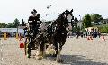 Photo n 32994&#10;MARBOZ 2015&#10;Photo Martin Klbinder&#10;Affiche 41 fois&#10;Ajoute le 27/04/2015 13:04:17 par JeanClaudeGrognet&#10;&#10;--> Cliquer pour agrandir <--