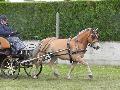 Photo n 33069&#10;PONTPOINT 2015&#10;&#10;Affiche 16 fois&#10;Ajoute le 03/05/2015 21:14:01 par JeanClaudeGrognet&#10;&#10;--> Cliquer pour agrandir <--