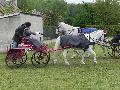 Photo n 33072&#10;PONTPOINT 2015&#10;&#10;Affiche 19 fois&#10;Ajoute le 03/05/2015 21:14:01 par JeanClaudeGrognet&#10;&#10;--> Cliquer pour agrandir <--