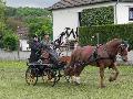 Photo n 33075&#10;PONTPOINT 2015&#10;&#10;Affiche 17 fois&#10;Ajoute le 03/05/2015 21:14:01 par JeanClaudeGrognet&#10;&#10;--> Cliquer pour agrandir <--