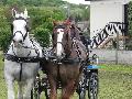 Photo n 33100&#10;PONTPOINT 2015&#10;&#10;Affiche 40 fois&#10;Ajoute le 03/05/2015 21:14:02 par JeanClaudeGrognet&#10;&#10;--> Cliquer pour agrandir <--