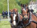 Photo n 33104&#10;PONTPOINT 2015&#10;&#10;Affiche 13 fois&#10;Ajoute le 03/05/2015 21:14:02 par JeanClaudeGrognet&#10;&#10;--> Cliquer pour agrandir <--