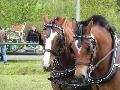Photo n 33105&#10;PONTPOINT 2015&#10;&#10;Affiche 30 fois&#10;Ajoute le 03/05/2015 21:14:02 par JeanClaudeGrognet&#10;&#10;--> Cliquer pour agrandir <--